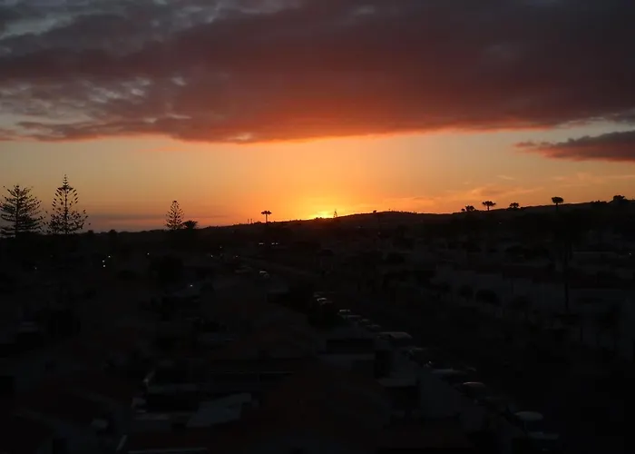 Sunny Tanife By Yumbo Lejlighed